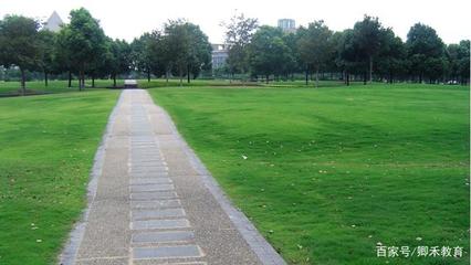 上海最美三所大學，景致與實力并存，考上學子皆不凡